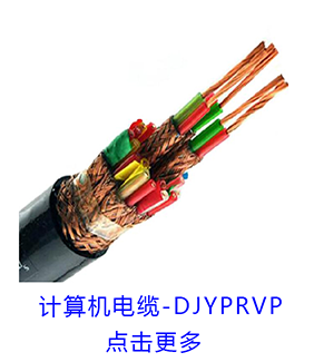 计算机电缆