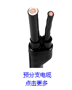 预分支电缆